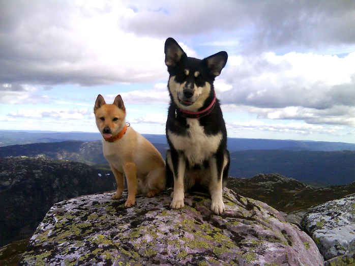 99fa1-brisorkantopp25c325b8ysteinnattendsc00340