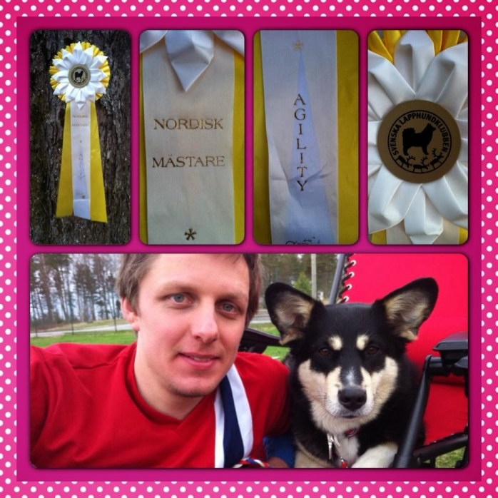 88da4-960250_10151596139695673_980577214_n