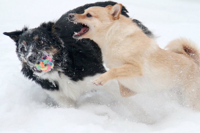 168183_10150122889755673_6626228_n