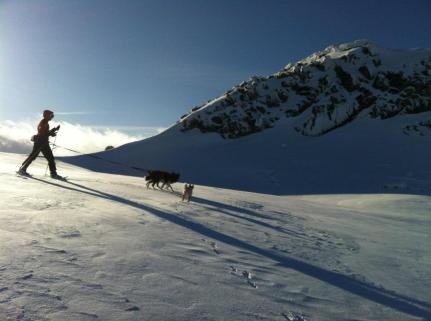 426984_10150714646015673_1669384557_n