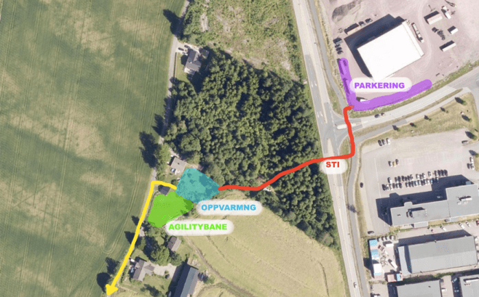 31947407_435784330195429_562546608747577344_n